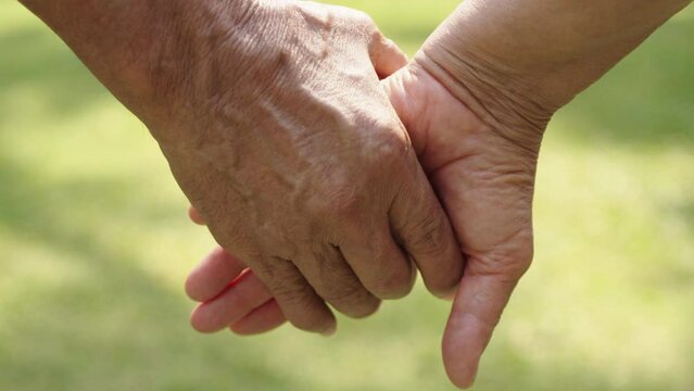 Senior couple holding hands together at nature park outdoor background. Lover, Valentine.