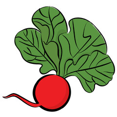 Small sized red radish icon vector