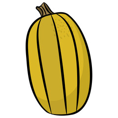 Healthy vegetable and fruit, pumpkin 