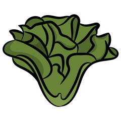 Leafy green vegetable icon 