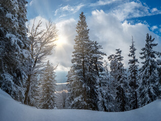 Bavarian Mountain hike to the Herzogstand peak with snow and sun 