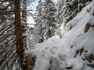 Bavarian Mountain hike to the Herzogstand peak with snow and sun 