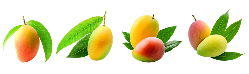 Mango isolated on white background. Generative Ai