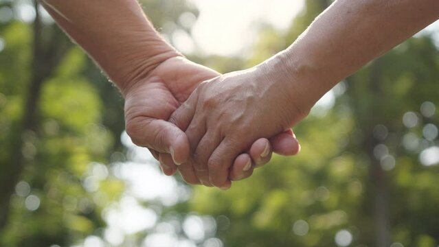 Senior couple holding hands together at nature park outdoor background. Lover, Valentine.