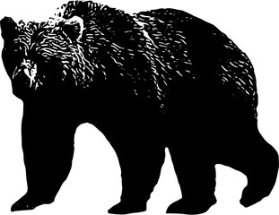 Plakat silhouette of a bear vector