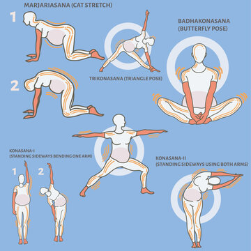 yoga aasan for pregnant woman, yoga aasan during pregnancy, vector flat illustration set,healthy pregnant woman 