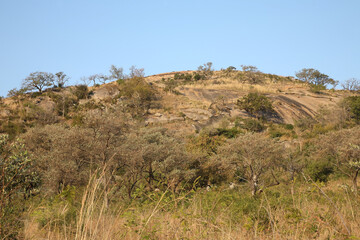 Afrikanischer Busch - Krügerpark - Mount Shabeni / African Bush - Kruger Park - Mount Shabeni /