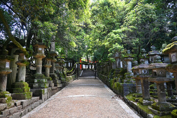 神秘的な奈良市春日大社の慶賀門への参道