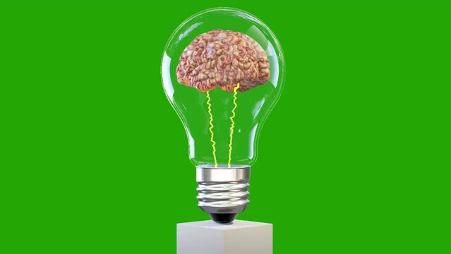 3d brain rotating inside a lightbulb, great mind concept, loop, Green Screen Chromakey 