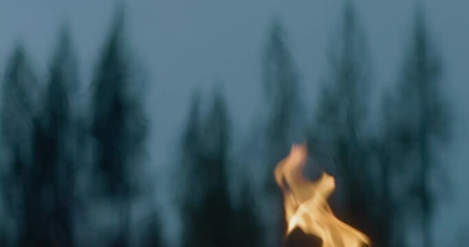Campfire flames flickering at dusk in a forest