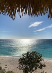 Palm leaves and beach views 