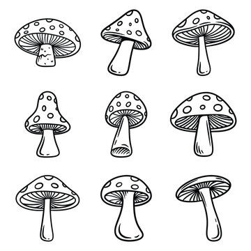 Set of mushroom line art vector