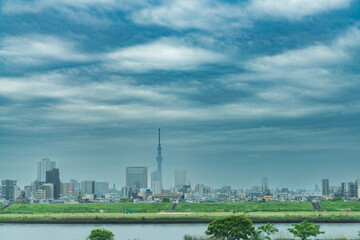 Fototapeta na wymiar Tokyo Sky Tree and buildings