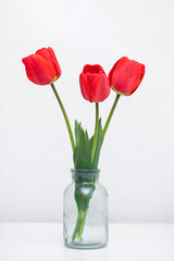 Bouquet of fresh red tulips in a vase on the table. View with copy space