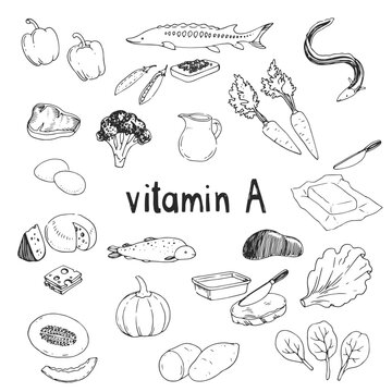 Vector hand-drawn set of vitamin A source foods. Dietetic organic nutrition. Doodle vector illustration with natural healthy products.