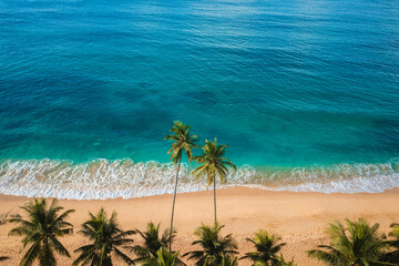 Aerial drone view of tropical beach paradise with palm trees, travel