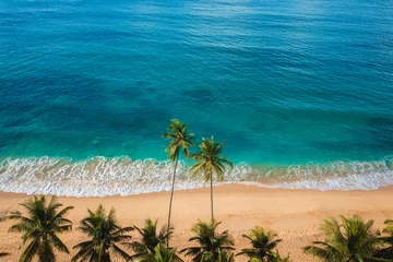 Foto op Aluminium Aerial drone view of tropical beach paradise with palm trees, travel © Buyanskyy Production