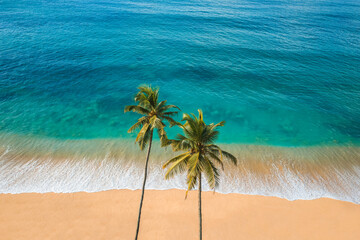 Aerial drone view of tropical beach paradise with palm trees and