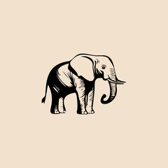 Elephant logo design. Wild animal vector illustration. Vintage style.