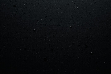 Concept of tropical and summer plant - bamboo