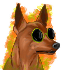 Miniature pinscher with sunglasses, colorful drawing