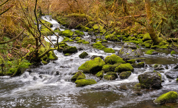 Small waterfall on Craigflower Creek, greater Victoria, Vancouver Island, British Columbia, Canada 