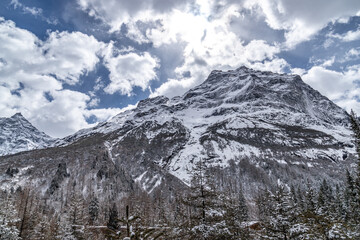 snow covered mountains