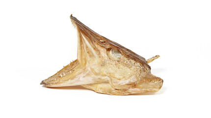 Fototapeta premium Dried pike head isolated on white background. Pike head with open mouth and sharp teeth
