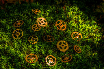 precision engineered toothed brass metal cog wheels on green moss