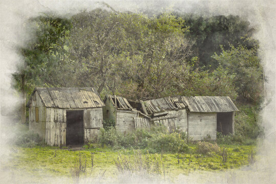 A digital watercolour painting of derelict timber outbuildings and woodland in the English countryside.