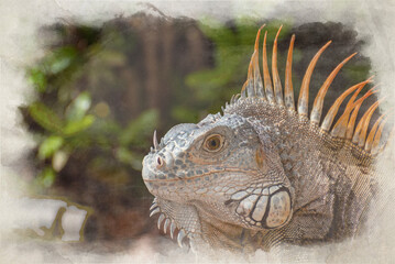 A digital watercolour painting of a green Iguana in a palm tree.