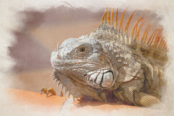 A digital watercolour painting of a green Iguana in a palm tree.