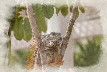 A digital watercolour painting of a green Iguana in a palm tree.