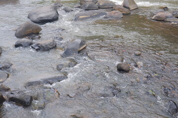 Mountain river with clear water. The rapid flow of a mountain river