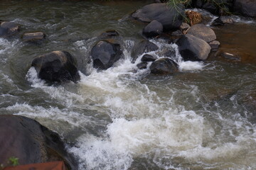 Mountain river with clear water. The rapid flow of a mountain river