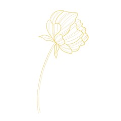 gold outline illustration of a flower