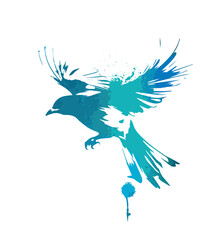 Abstract watercolor blue flying magpie. A beautiful bird in flight. Graffiti style. Vector illustration