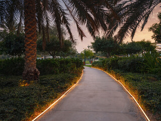 Large green evening park in the big city, Umm Al Emarat Park in Abu Dhabi UAE. park with indoor pavilion and botanical garden