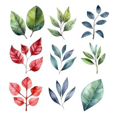 watercolor illustration, leaves and nature elements set 3