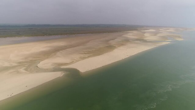 Phoque dormant sur une plage du Cotentin, France