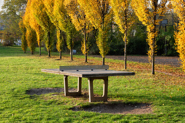 Naklejka premium Outdoor Table Tennis In Park