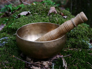 Singing bowl on a rock with moss and some dead leaves