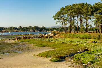 Fototapeta na wymiar Beach at sunset in the Carreirón Natural Park into the Arousa island with the pine forest