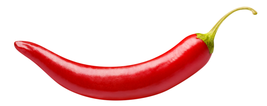 Red chili pepper cut out