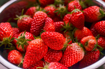 A lot fresh strawberries in a bowl. Freshly harvested.