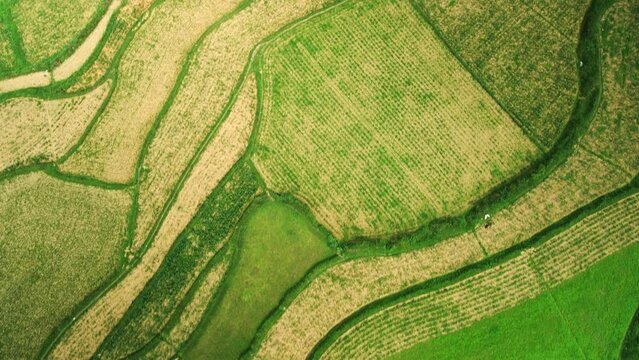 Patchwork rice fields tilt up to reveal magic Krast bobbing green mystic mountainous landscape with lake.  Drone fly birds eye fly over Vietnamese landscape.