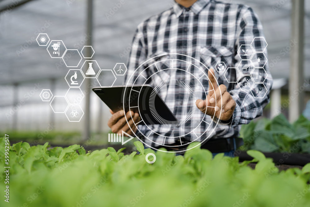 Wall mural agricultural technology farmer man using tablet computer and smartphone analyzing data and morning i