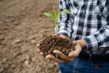 Human hand holding seed with soil on blurred agricultural field background : World Soil Day concept.