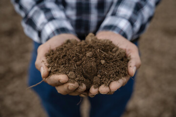 Farmers' expert hands check soil health before planting vegetable seeds or seedlings. Business idea or ecology.