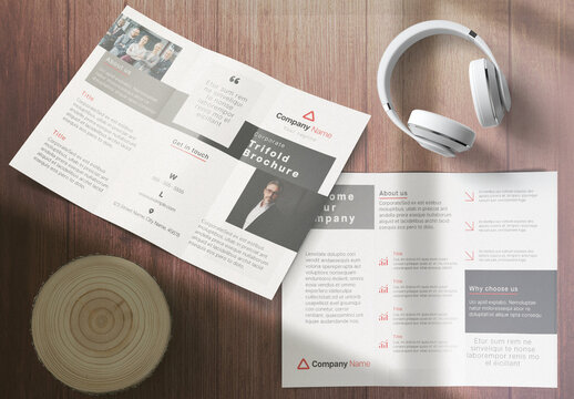 Trifold Brochure Data Analysis Layout